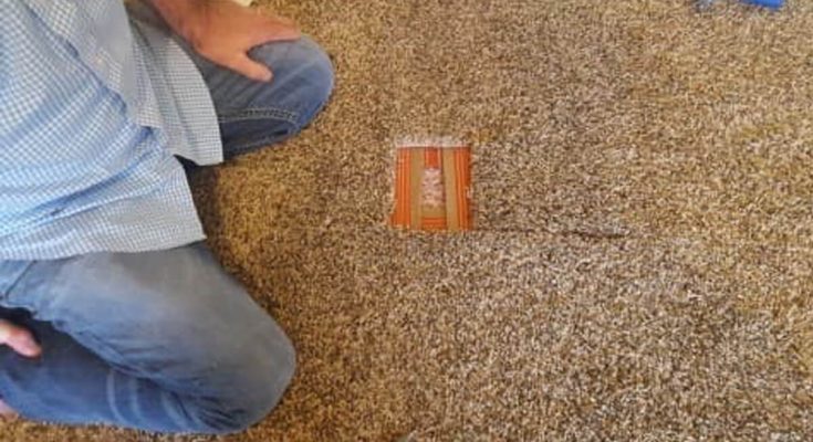 What to Look For Carpet Repair Professionals?