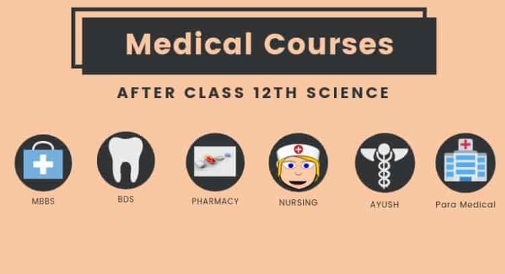 medical courses after 12th